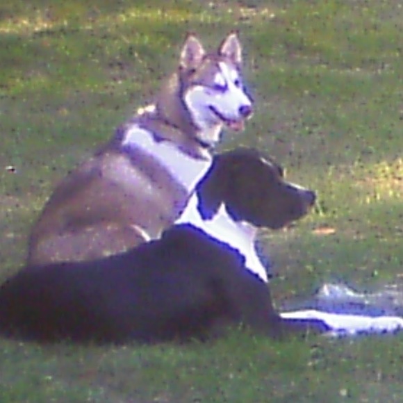 Meet your Posher, Ma - Picture 1 of 1